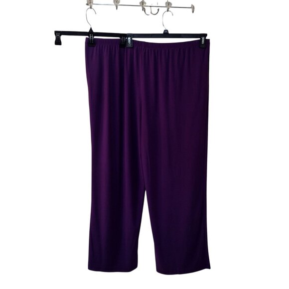 Antthony Originals: 2-Piece Pull-on Pant Set, Size 2X, Purple (NWT) - Picture 8 of 11